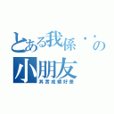 とある我係叻叻の小朋友（其實成績好差）