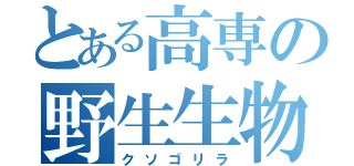 とある高専の野生生物（クソゴリラ）