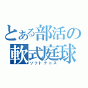 とある部活の軟式庭球（ソフトテニス）