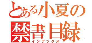 とある小夏の禁書目録（インデックス）