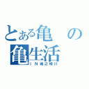 とある亀の亀生活（ＩＮ城之崎川）