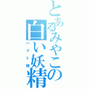 とあるみやこの白い妖精（ハクト様）