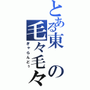 とある東の毛々毛々（ぎゃらんどぅ）