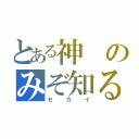 とある神のみぞ知る（セカイ）