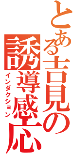 とある吉見の誘導感応（インダクション）