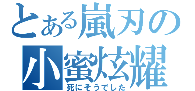 とある嵐刃の小蜜炫耀（死にそうでした）