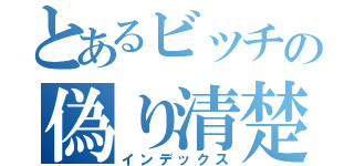 とあるビッチの偽り清楚（インデックス）