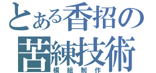 とある香招の苦練技術中（模組制作）