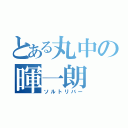 とある丸中の暉一朗（ソルトリバー）