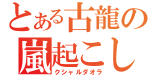 とある古龍の嵐起こし（クシャルダオラ）