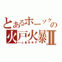 とあるホーソクの火戸火暴Ⅱ（ハム金朴木子）