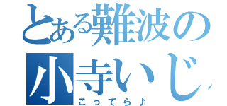 とある難波の小寺いじり（こってら♪）