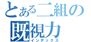 とある二組の既視力（インデックス）