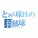 とある球技の羽毬球（バドミントン）