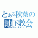 とある秋葉の地下教会（グレースコート）