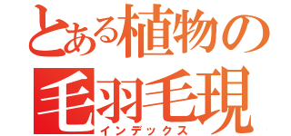 とある植物の毛羽毛現（インデックス）