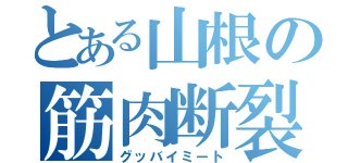 とある山根の筋肉断裂（グッバイミート）