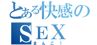 とある快感のＳＥＸ（まんこ！）