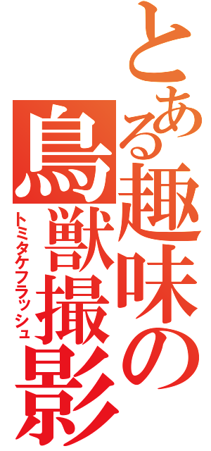 とある趣味の鳥獣撮影（トミタケフラッシュ）