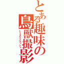 とある趣味の鳥獣撮影（トミタケフラッシュ）