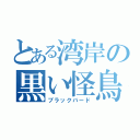 とある湾岸の黒い怪鳥（ブラックバード）