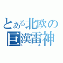 とある北欧の巨漢雷神（トール）