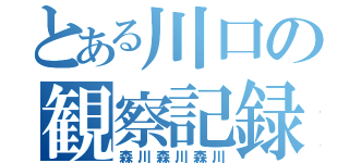 とある川口の観察記録（森川森川森川）