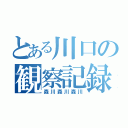 とある川口の観察記録（森川森川森川）