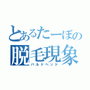 とあるたーぼの脱毛現象（バルドヘッド）