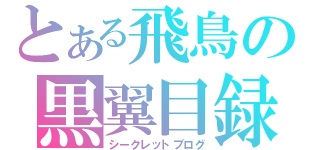 とある飛鳥の黒翼目録（シークレットブログ）