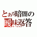 とある暗闇の曖昧返答（そーなのかー）