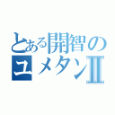 とある開智のユメタン廃人Ⅱ（）