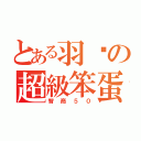 とある羽婷の超級笨蛋（智商５０）