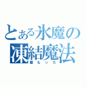 とある氷魔の凍結魔法（雛もっち）