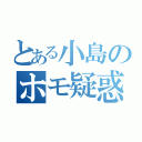 とある小島のホモ疑惑（）