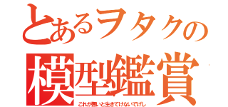 とあるヲタクの模型鑑賞（これが無いと生きてけないでげし）