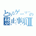 とあるゲーマーの禁止事項Ⅱ（チート）