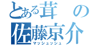 とある茸の佐藤京介（マッシュッシュ）