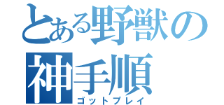 とある野獣の神手順（ゴットプレイ）