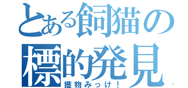 とある飼猫の標的発見（獲物みっけ！）