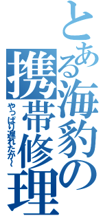 とある海豹の携帯修理（やっぱり遅れたか～）