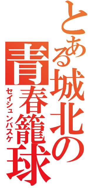 とある城北の青春籠球（セイシュンバスケ）