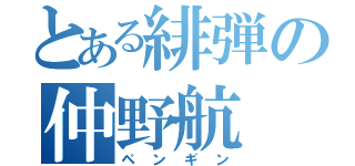 とある緋弾の仲野航（ペンギン）