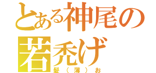 とある神尾の若禿げ（髪（薄）お）