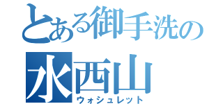 とある御手洗の水西山（ウォシュレット）