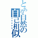 とある自然の自己相似（フラクタル）