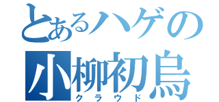 とあるハゲの小柳初烏（クラウド）