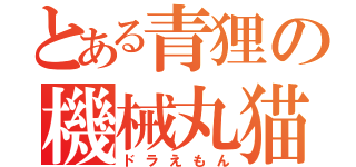 とある青狸の機械丸猫（ドラえもん）