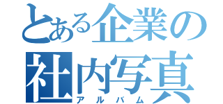 とある企業の社内写真（アルバム）