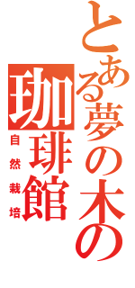 とある夢の木の珈琲館（自然栽培）